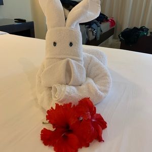 Meet your Posher, Shelli